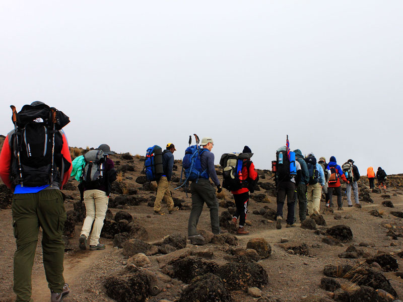 5-days-kilimanjaro-clilmb