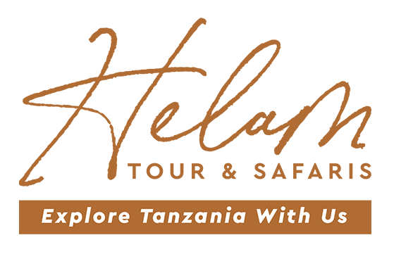 Helam-tour-logo