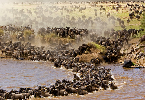 Serengeti-migration-safaris