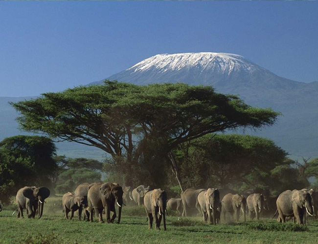 mount-Kilimanjaro-National-Park