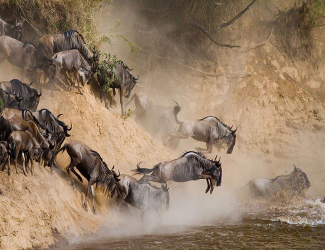 6-Days-Wildebeest-Migration-Safari